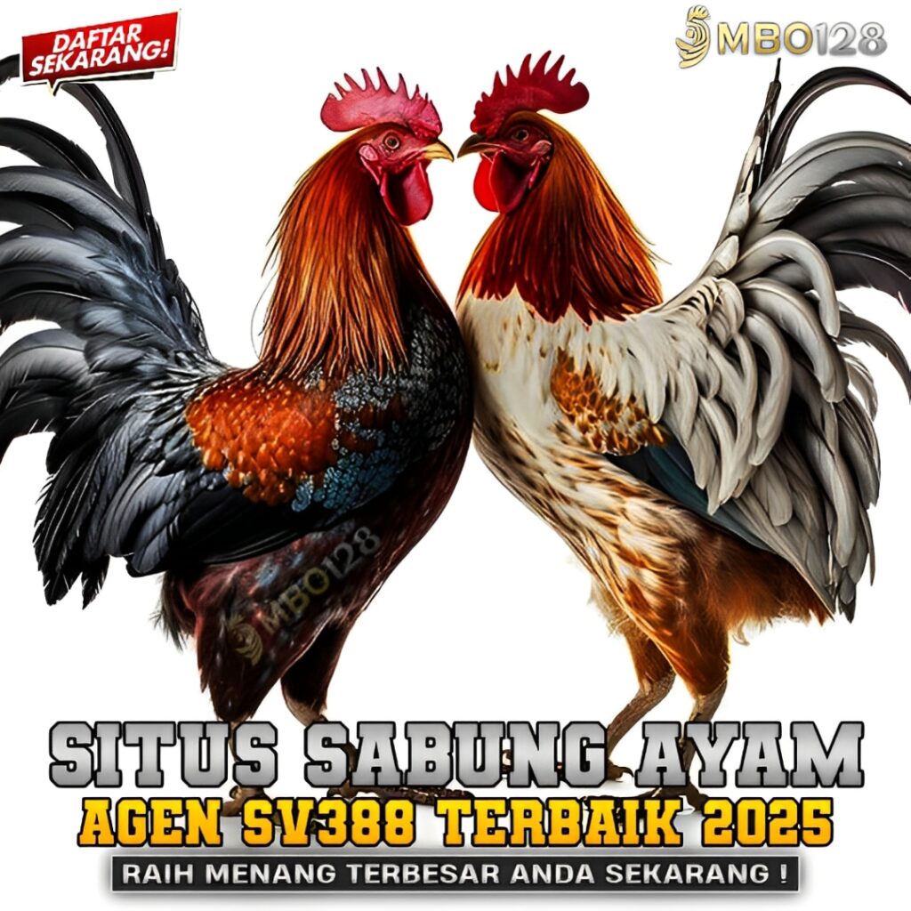 https://heylink.me/pemersatubangsa+62