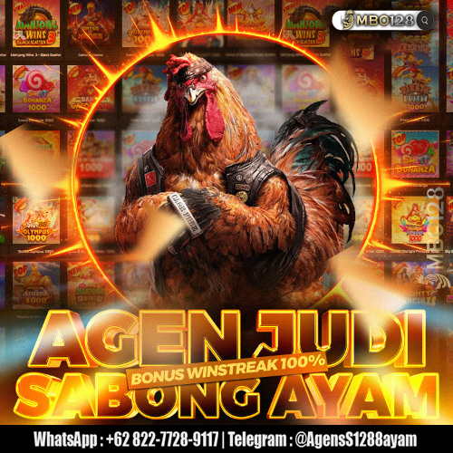 https://heylink.me/pemersatubangsa+62